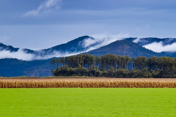 b91298fe89e7-Australien-Bergregion-Atherton-Tablelands-iStock-greenantphoto Australien Bergregion Atherton Tablelands iStock/greenantphoto