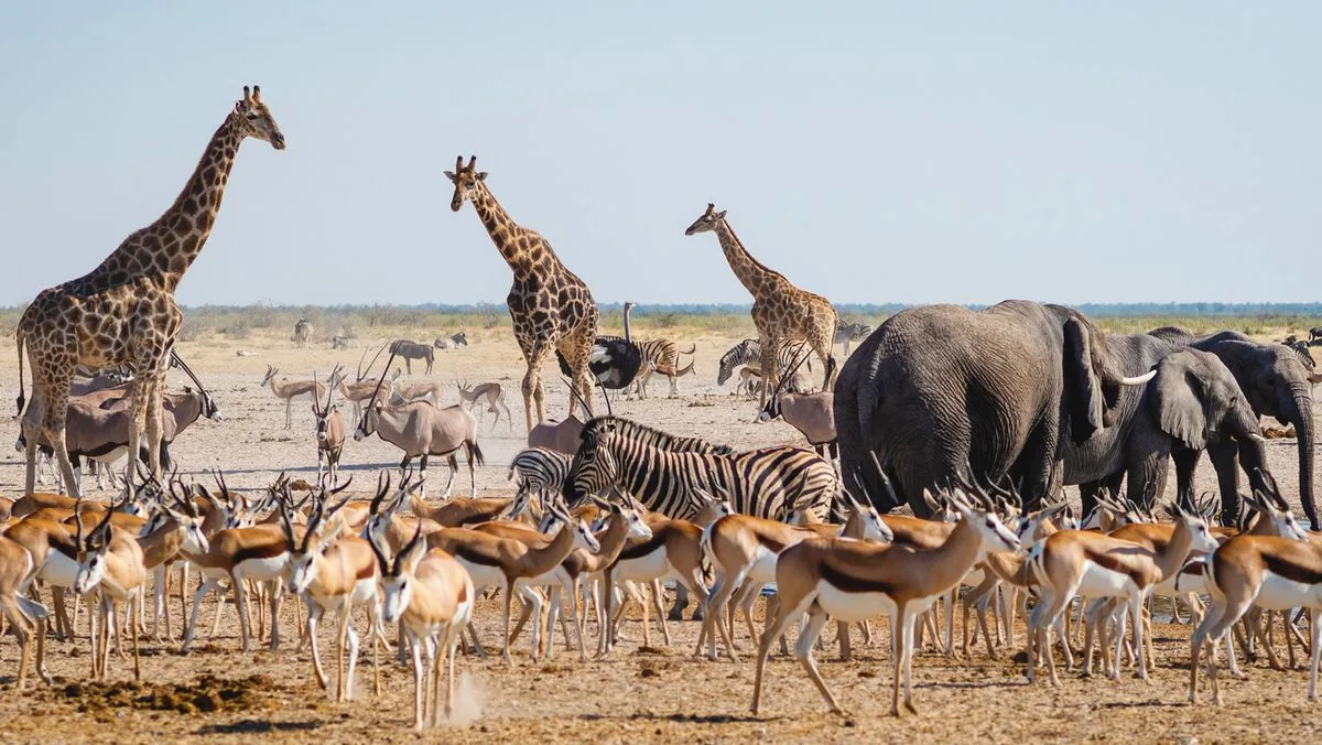 f370e9c81b5b-Namibia-Etosha-Foto-iStock-RM-Nunes Namibia Etosha Foto iStock RM Nunes