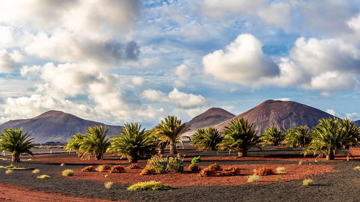Spanien Lanzarote iStock Balate Dorin-1194523751 Lanzarote
