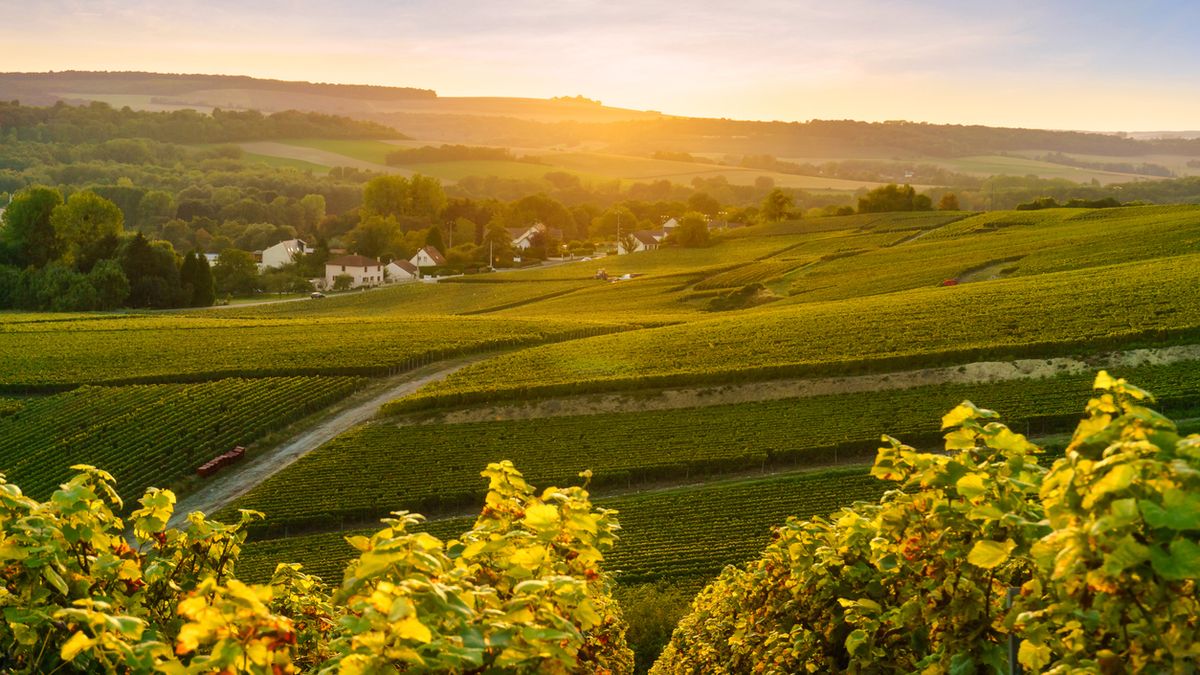 Frankreich Champagne Foto iStock Southtownboy
