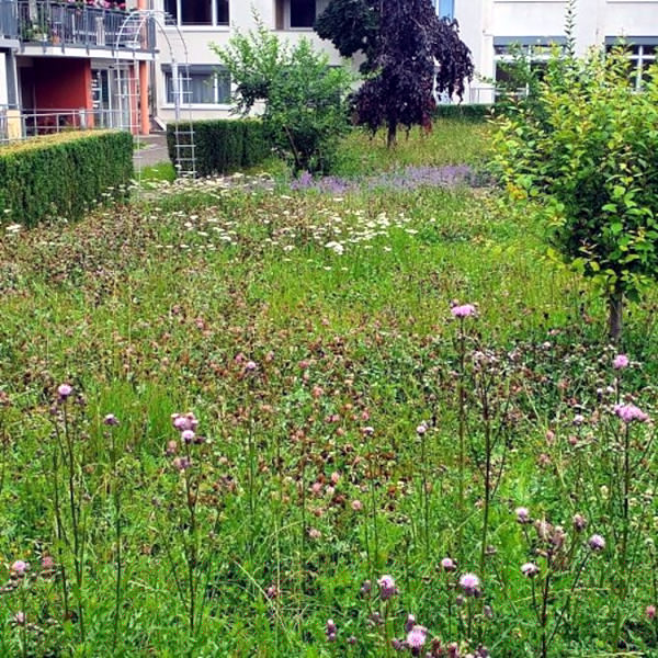 Evangelische Heimstiftung Wildwiese Nabu.jpg