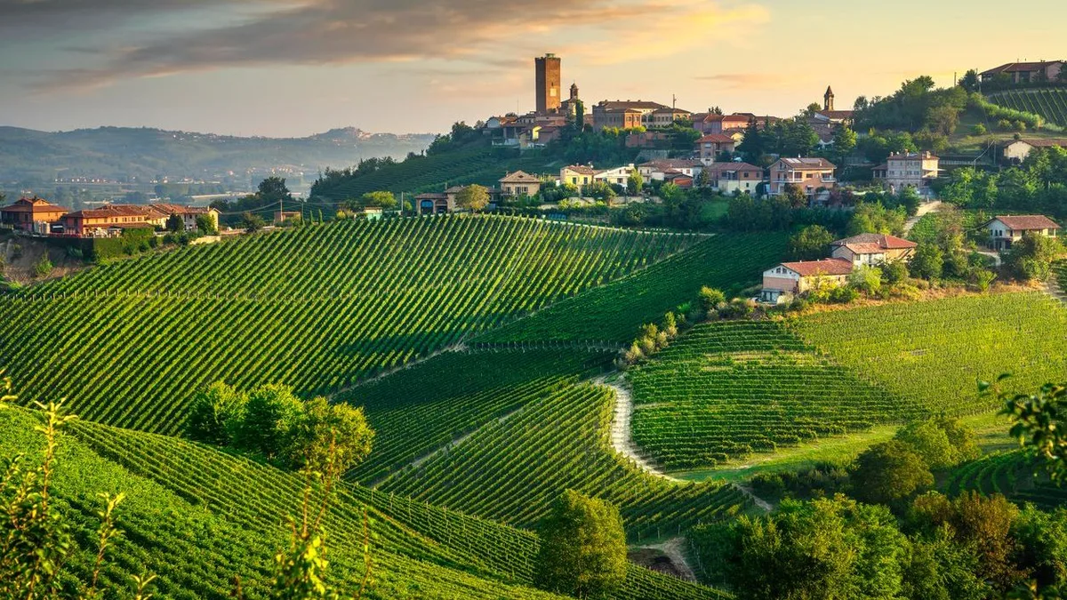 a1a675208c28-iStock-1273819570-modified-b5e6ba0b-ff37-4e43-94d1-a64596fe5f9e Langhe Roero Barbaresco Piemont Italien