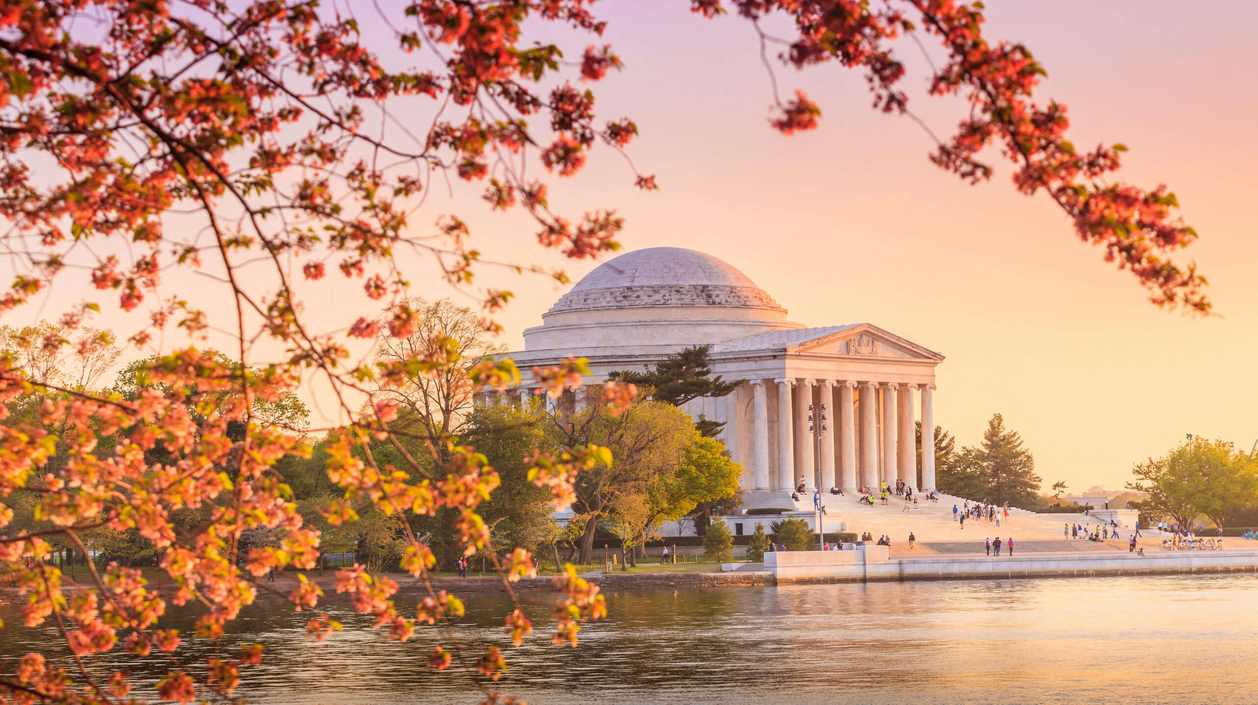 DC_Washington_Cherry Blossom Festival at Jerfferson Memorial USA