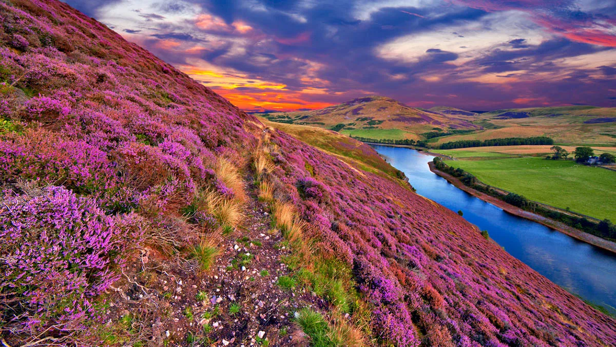 Schottland Highlands iStock Serge_Bertasius-465979052 Schottland Highlands