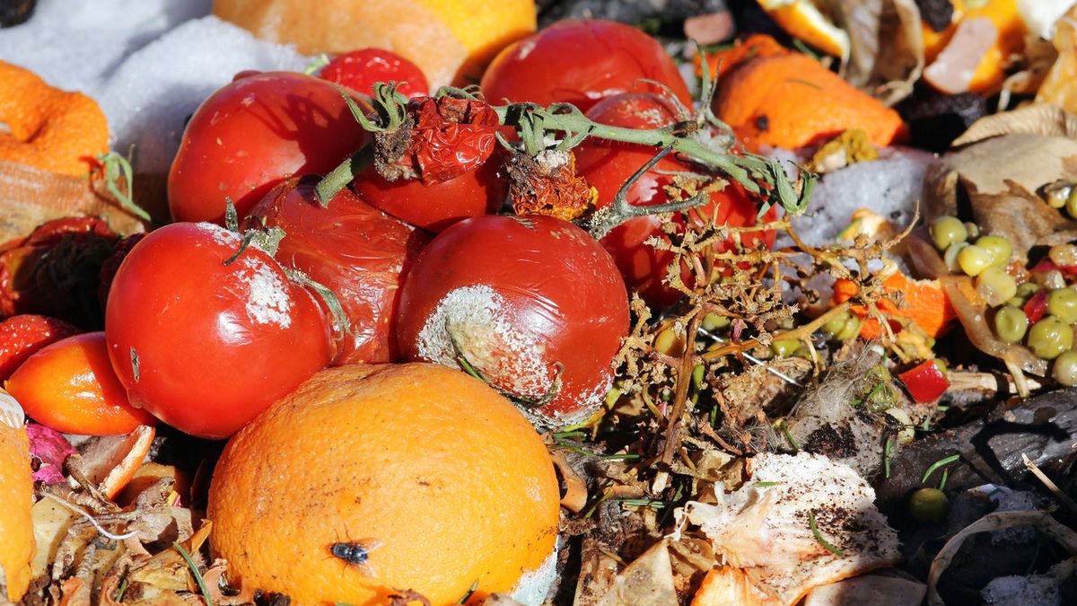 Lebensmittelverschwendung Lebensmittel Bioabfall Foto iStock Astrid860