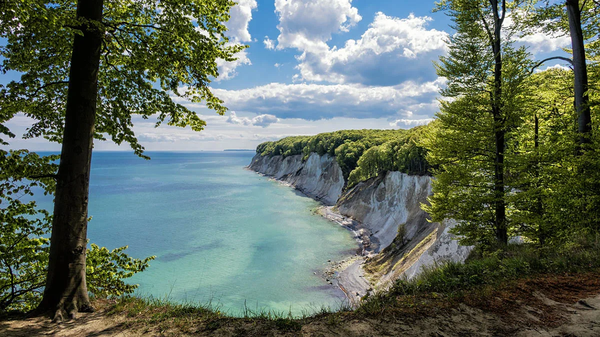 Deutschland Rügen Kreisefelsen iStock RicoK69 -491788719 Rügen Kreidefelsen