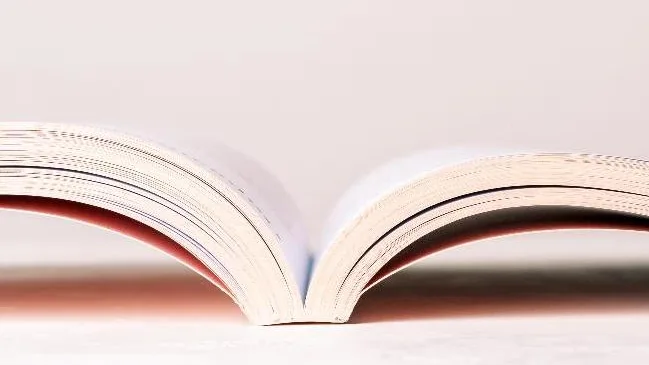 d244a13a7ebc-Buch-Gesetz Buch Gesetz
