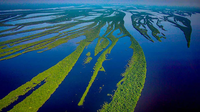 Brasilien Amazonas iStock RICARDO STUCKERT-1008098920 Amazonas-Regenwald