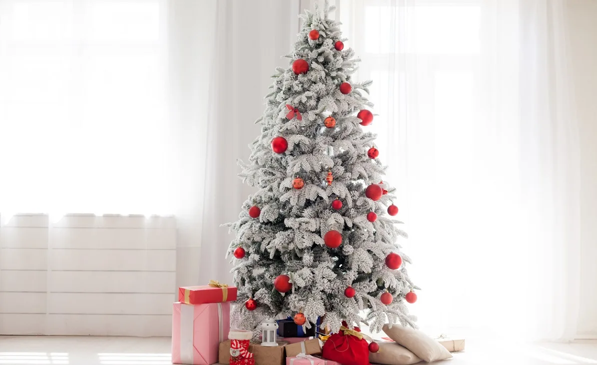 bb4aea1351bf-Weihnachtsbaum-iStock-DmitriiSimakov-1200px Weihnachtsbaum iStock DmitriiSimakov 1200px