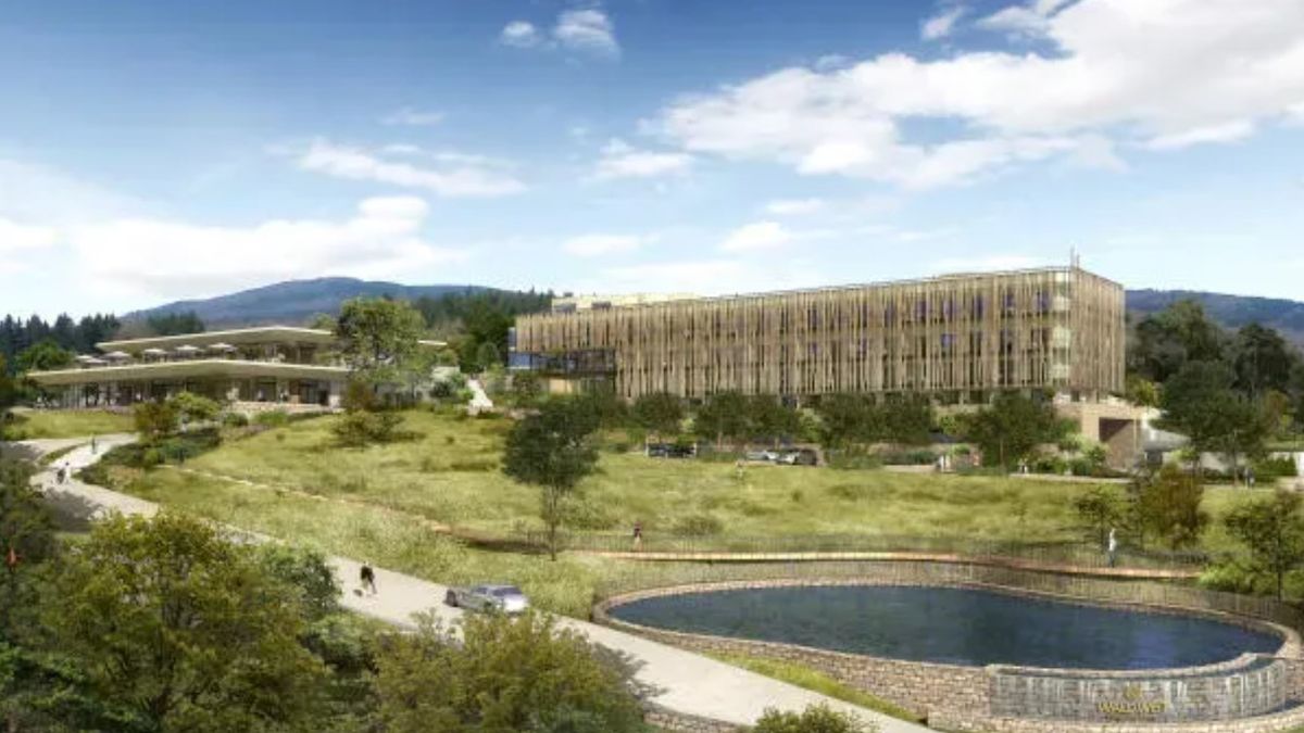 Wald-Weit-Rheingau-Hotel Retreat Foto Wald Weit
