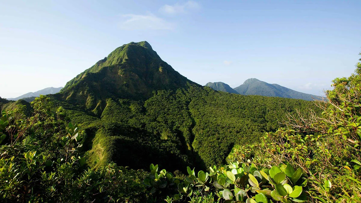 Dominica Fremdenverkehrsbüro Dominica Dominica