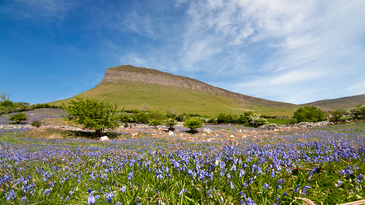 Irland Sligo Benbulben Tourism Ireland/Doherty