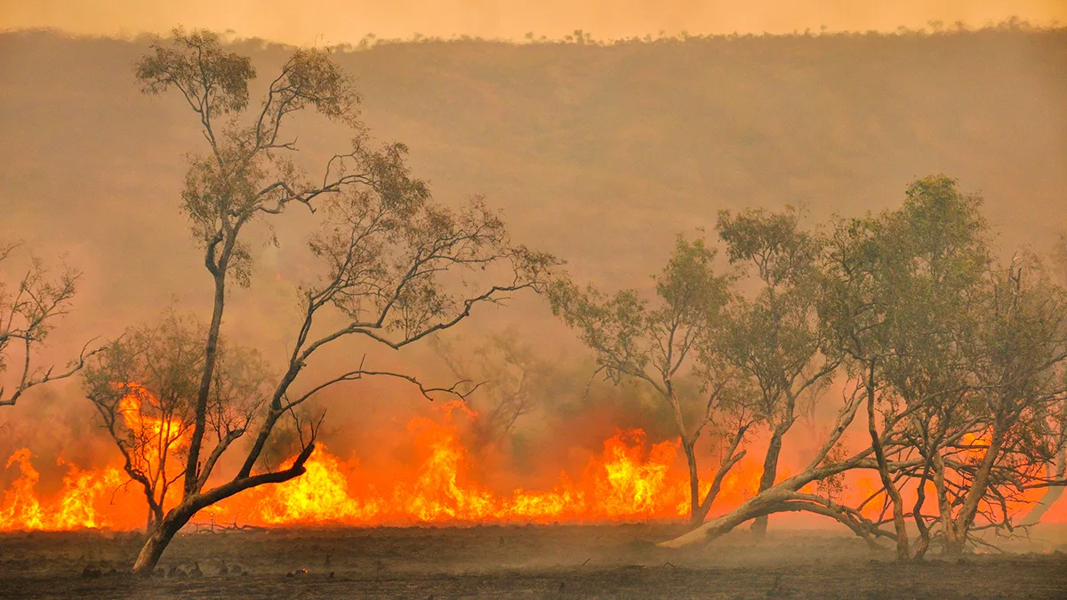 Australien Buschfeuer Foto iStock John Crux Australien Buschfeuer