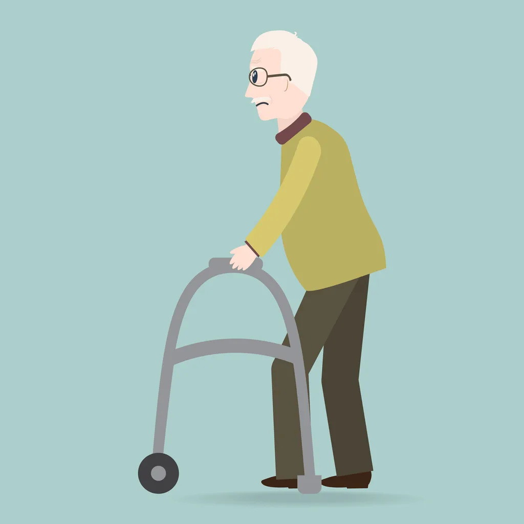 405f54bb094b-iStock-905827828 Rollator Illustration