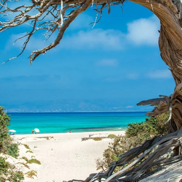 Griechenland Insel Chrissi Foto iStock Ana Lebiodine quadrat Griechenland Insel Chrissi Foto iStock Ana Lebiodiene quadrat