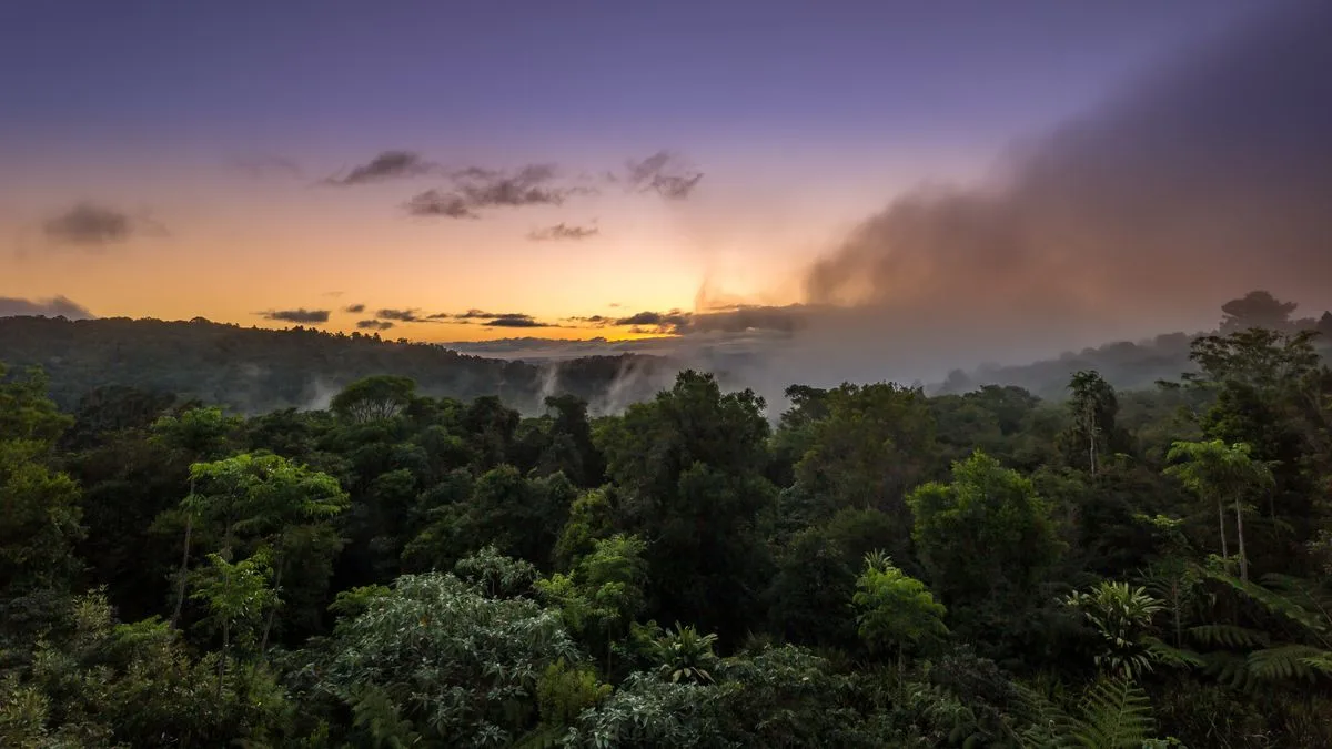 4ea88fe2bf1e-Australien-Lamington-Park-Queensland-Foto-iStock-Kamadie Australien Lamington Park Queensland Foto iStock Kamadie