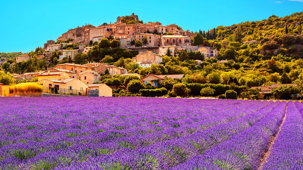 Frankreich Provence Ort mit Lavendelfeldern Foto iStock StevanZZ Frankreich Provence Ort mit Lavendelfeldern Foto iStock StevanZZ.jpg