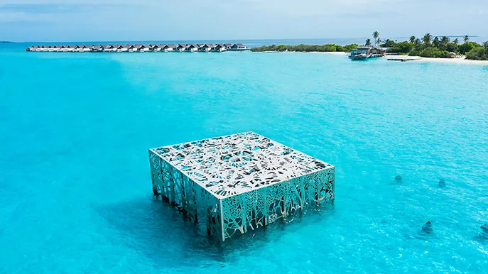 fairmont sirru fen fushi coralarium foto fairmont hotels fairmont sirru fen fushi coralarium foto fairmont Hotels
