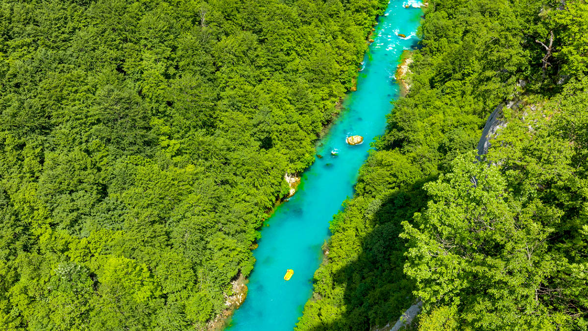 Montenegro Tara-Schlucht