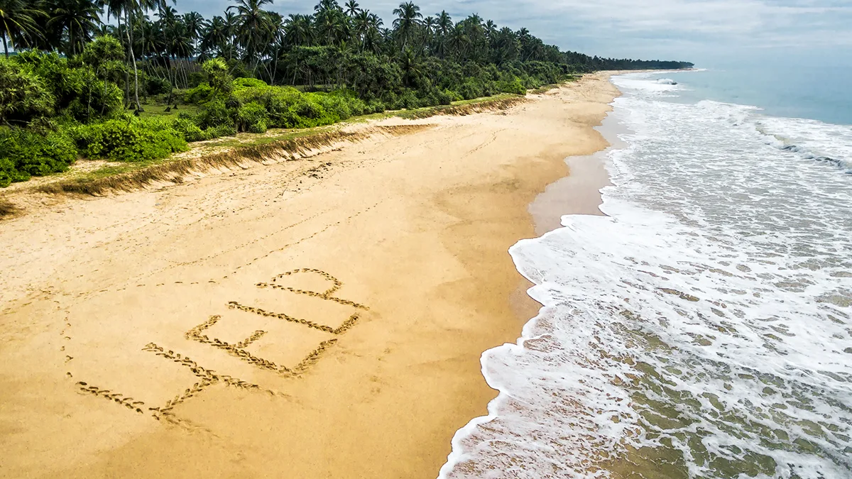 Strand Help Palmen Foto iStock Scaliger Strand Help Palmen Foto iStock Scaliger.jpg