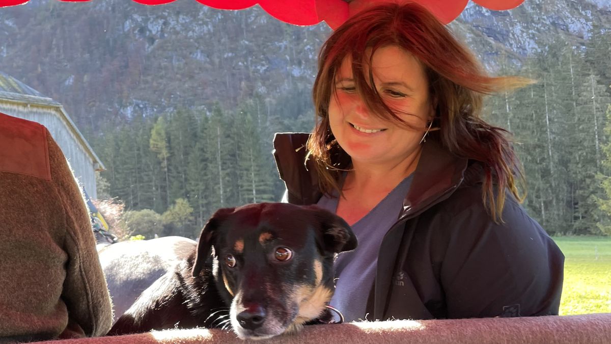 Plasa Anna Hund Bari Foto Matris Reisen