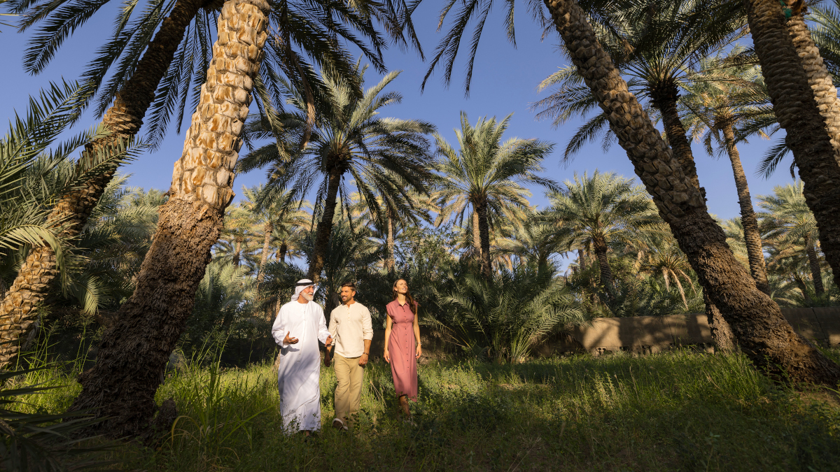 DCT Abu Dhabi Al Ain Oase 3.jpg