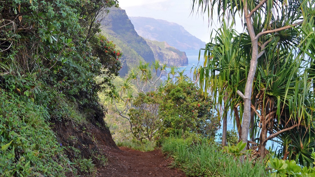 Hawaii Kalaluau Trail Na Pali Küste