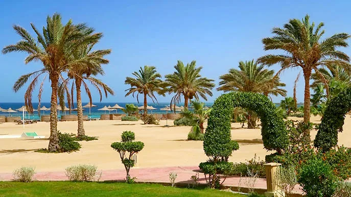 Ägypten Rotes meer Strand iStock Tunatura-1135791770 Ägypten Rotes Meer