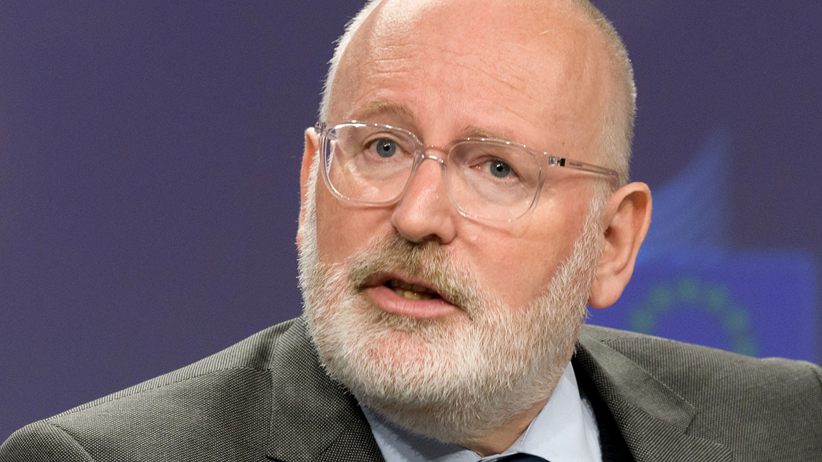Timmermans Frans