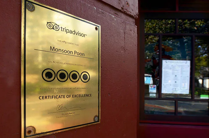 Tripadvisor iStock chameleonseye -510215196 Tripadvisor