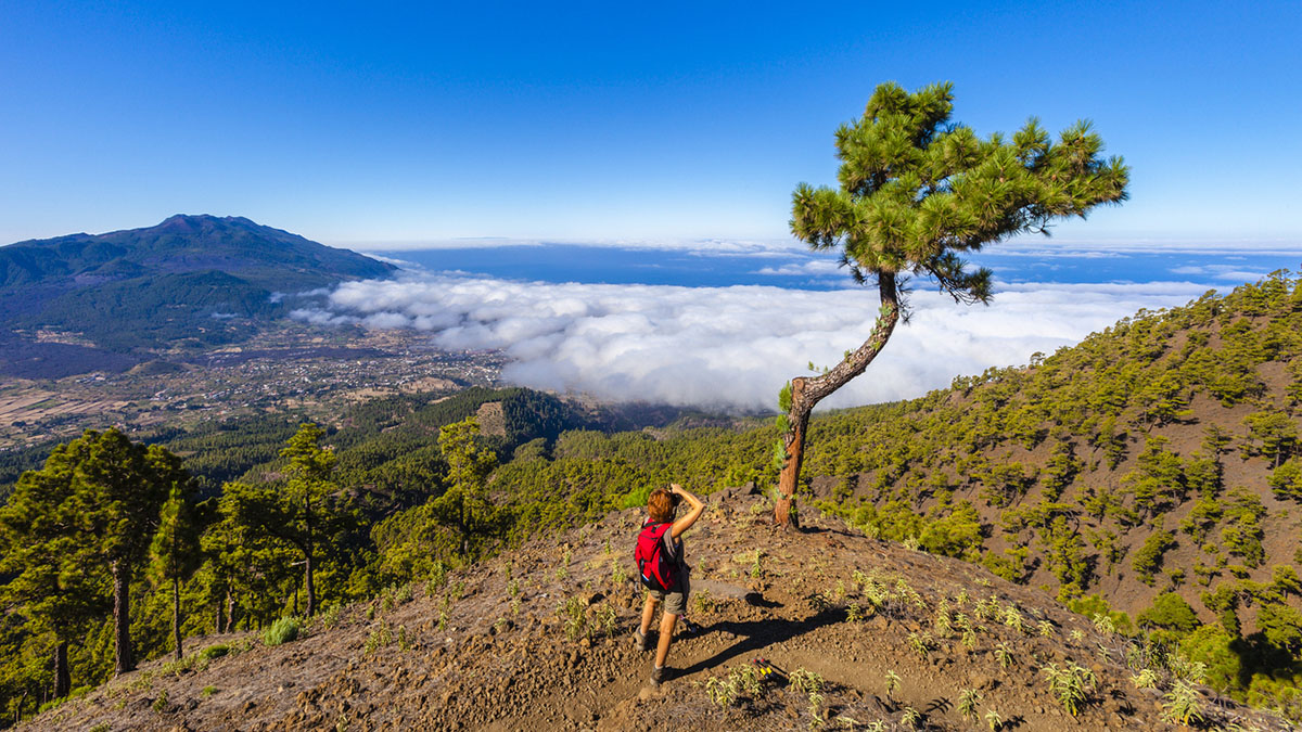 La Palma