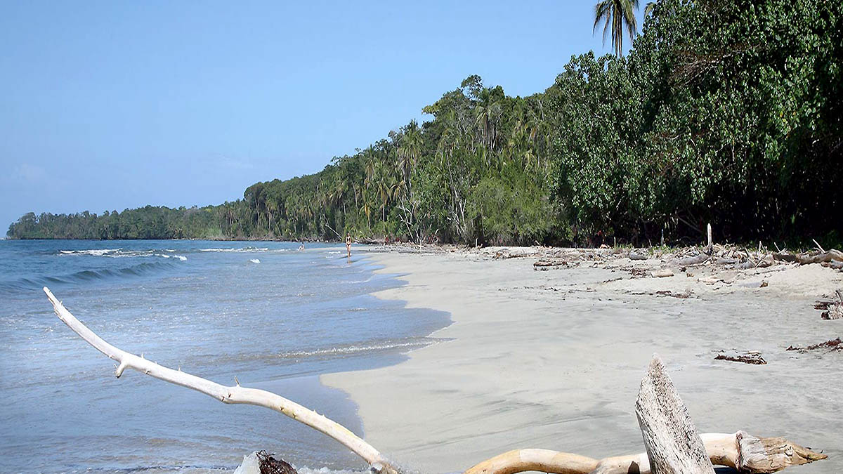 Costa Rica Cahuita National Park Foto Costa Rica Tourism Board