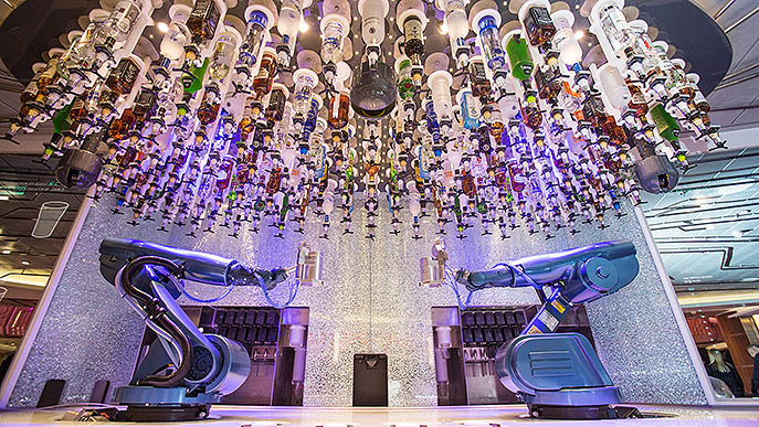 RCI Bionic Bar