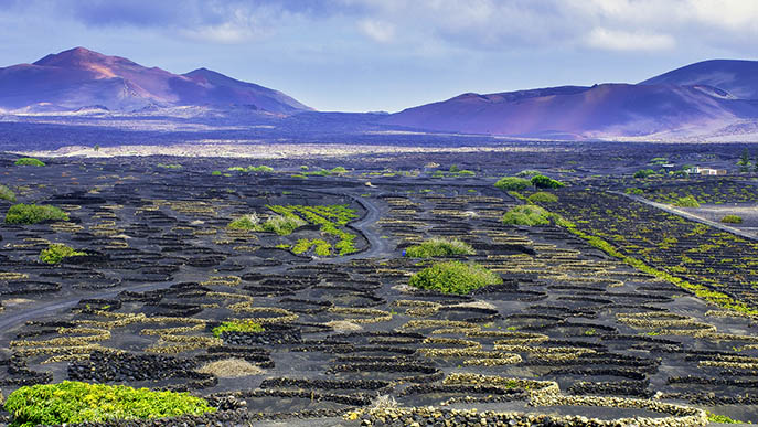 Lanzarote
