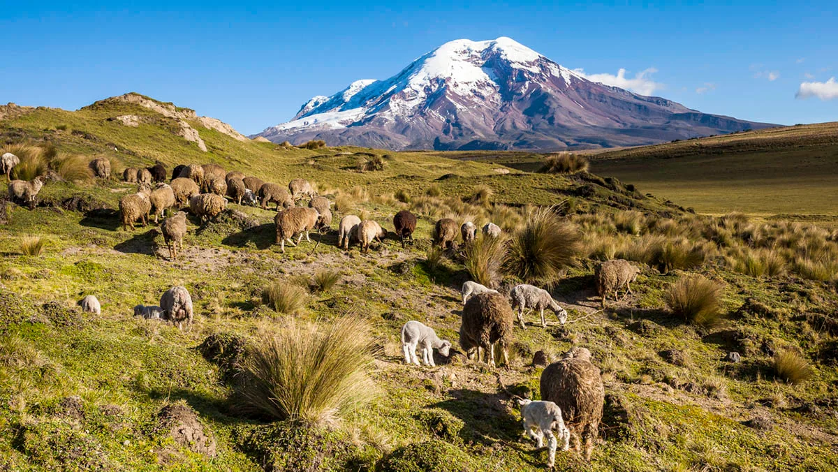 Ecuador Chimborazo iStock PatricioHidalgoP-480698816 Ecuador Chimborazo