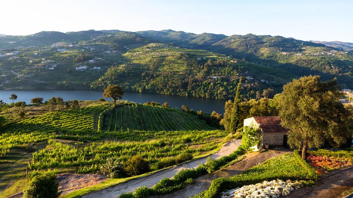 7e1ca4558733-Portugal-Duoro-Weinberge-Foto-iStock-Paulo-Resende Portugal Duoro Weinberge Foto iStock Paulo Resende