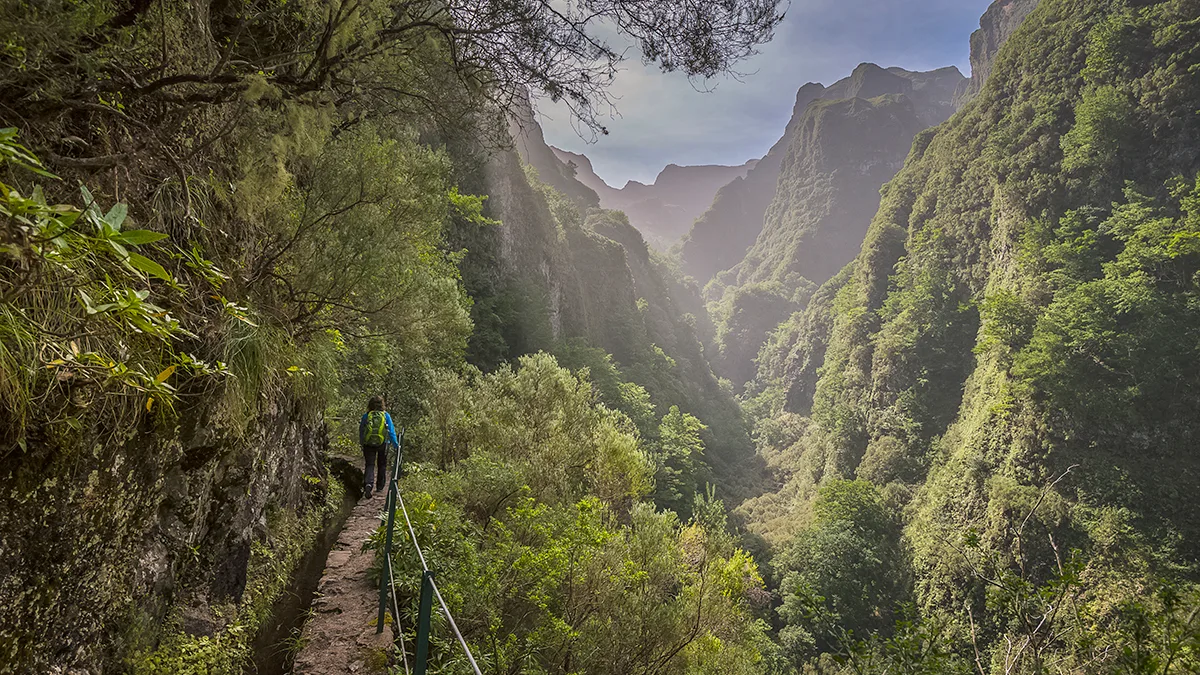 cea0c7a61326-Levada-do-Caldeirao-Verde-C-Francisco-Correia_kl Portugal Madeira Levada do Calderao Verde Wanderung Visit Madeira/Correia