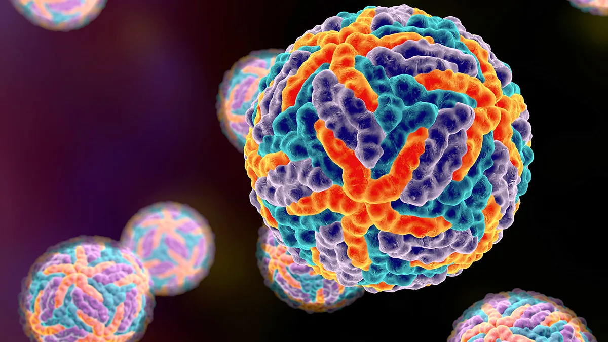 Gesundheit Dengue Virus in 3D Foto Dr Microbe Gesundheit Dengue Virus in 3D