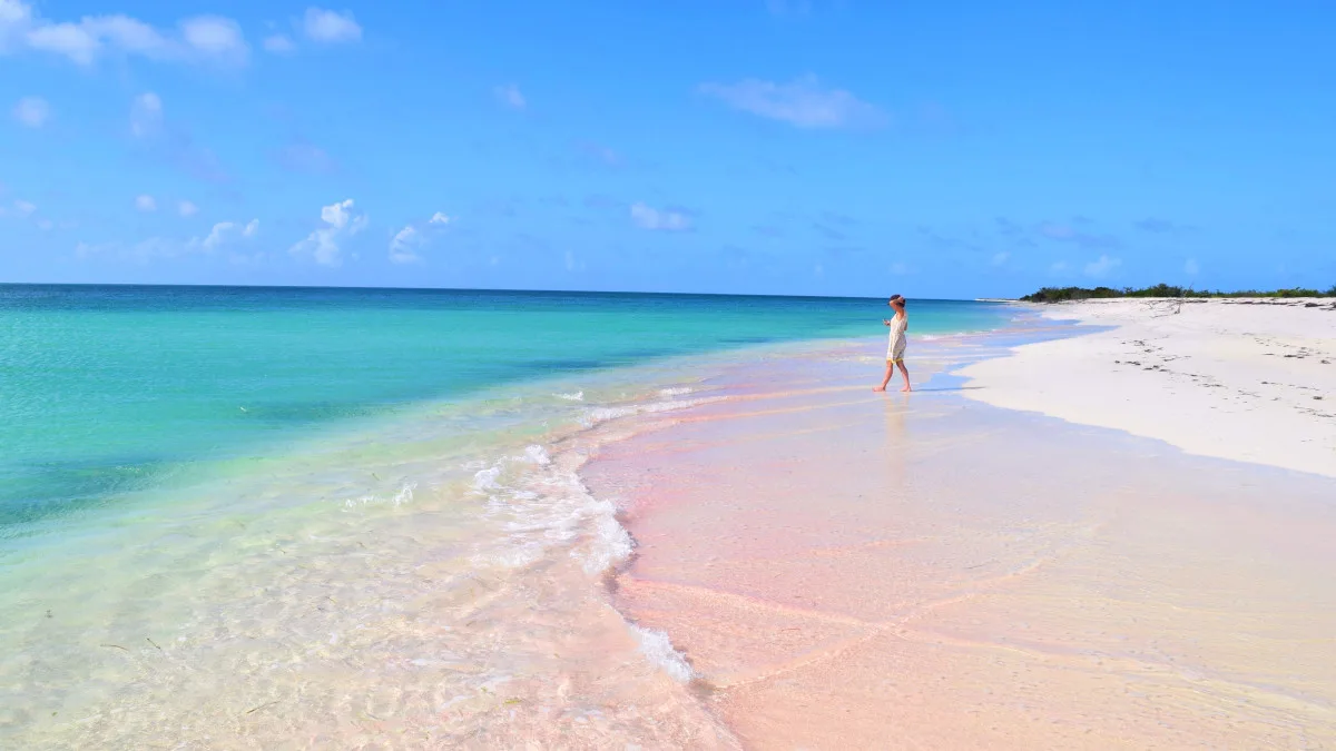 cef53c499ed3-Antigua-und-Barbuda-Tourism-Authority-Strand-mit-Frau Antigua und Barbuda Tourism Authority Strand mit Frau.jpg