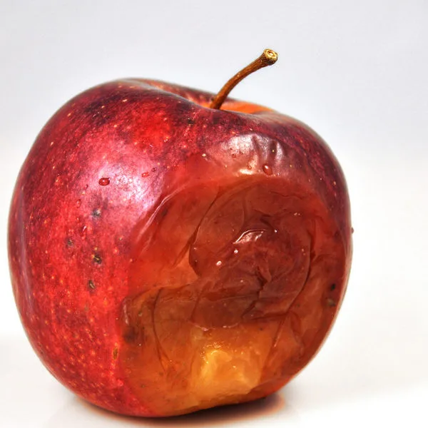 Apfel faul Lebensmittelverschwendung