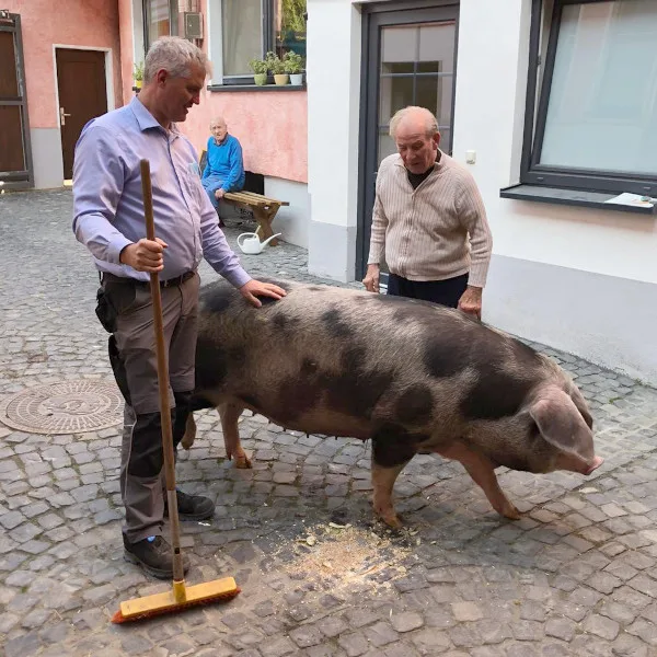 3b03c6950d3f-Pflegebauernhof-Schwein-Leute-Foto-Zukunft-Pflegebauernhof Pflegebauernhof Schwein Leute Foto Zukunft Pflegebauernhof.JPG