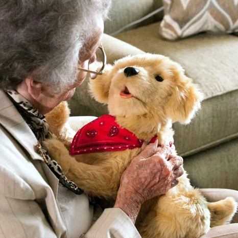 Golden Pup Foto Joy for all.jpg