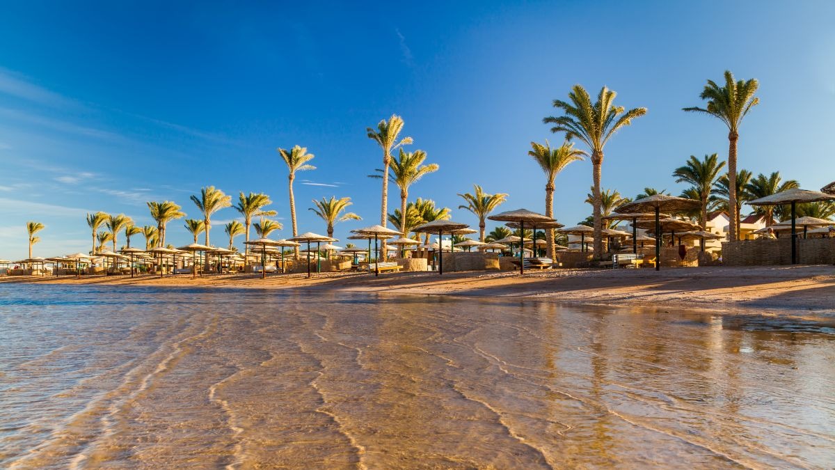 Sun Express Airlines Companyweek Hurghada Beach
