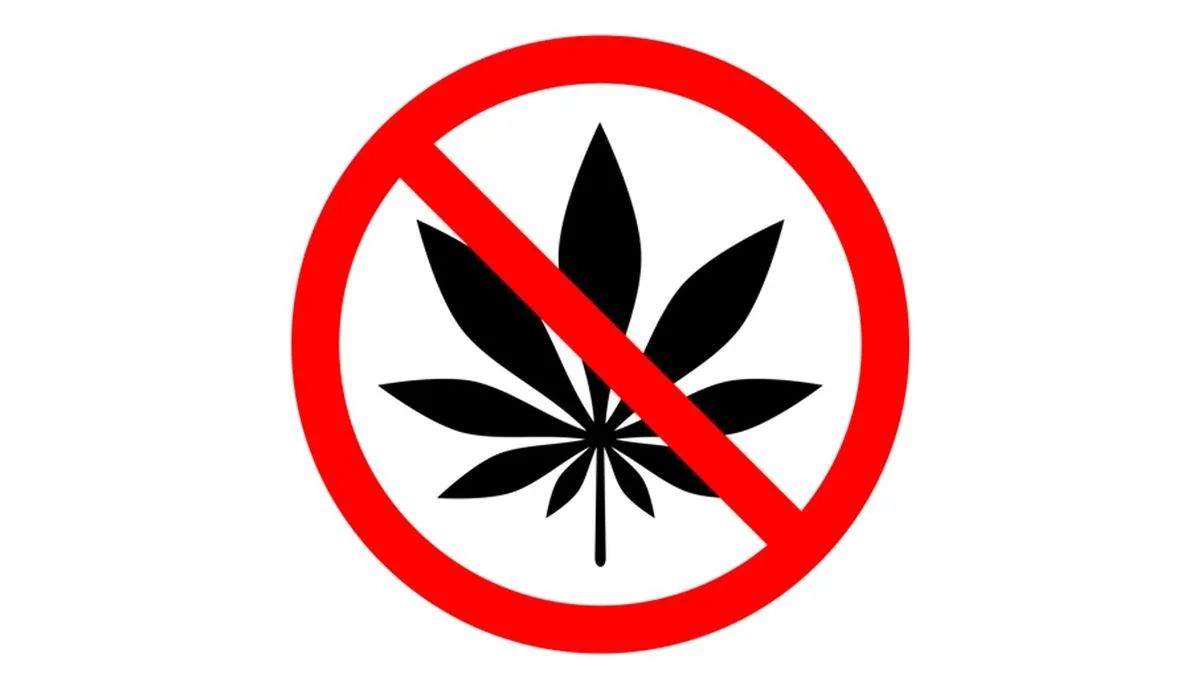 817b6d9e13a5-Cannabisverbot-Cannabis-Kiffen-Foto-iStock-archivector Cannabisverbot Cannabis Kiffen Foto iStock archivector