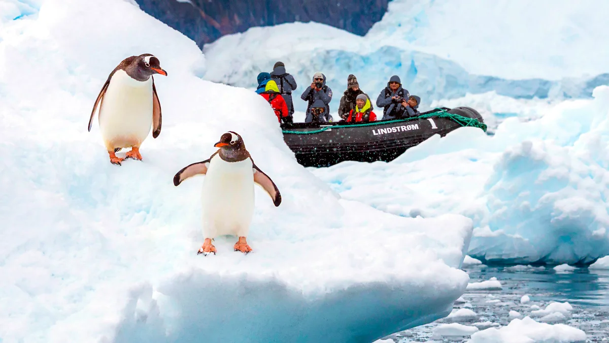 bf16c915a69e-HX-Antarktis-Neko-Harbour-Pinguine-Foto-Andrea-Klaussner HX Antarktis Neko Harbour Pinguine Foto Andrea Klaussner.jpg