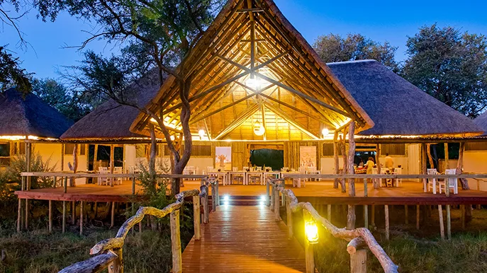 Chamäleon Unterkunft Botswana Gomoti River Lodge Foto Chamäleon Chamäleon Unterkunft Botswana Gomoti River Lodge