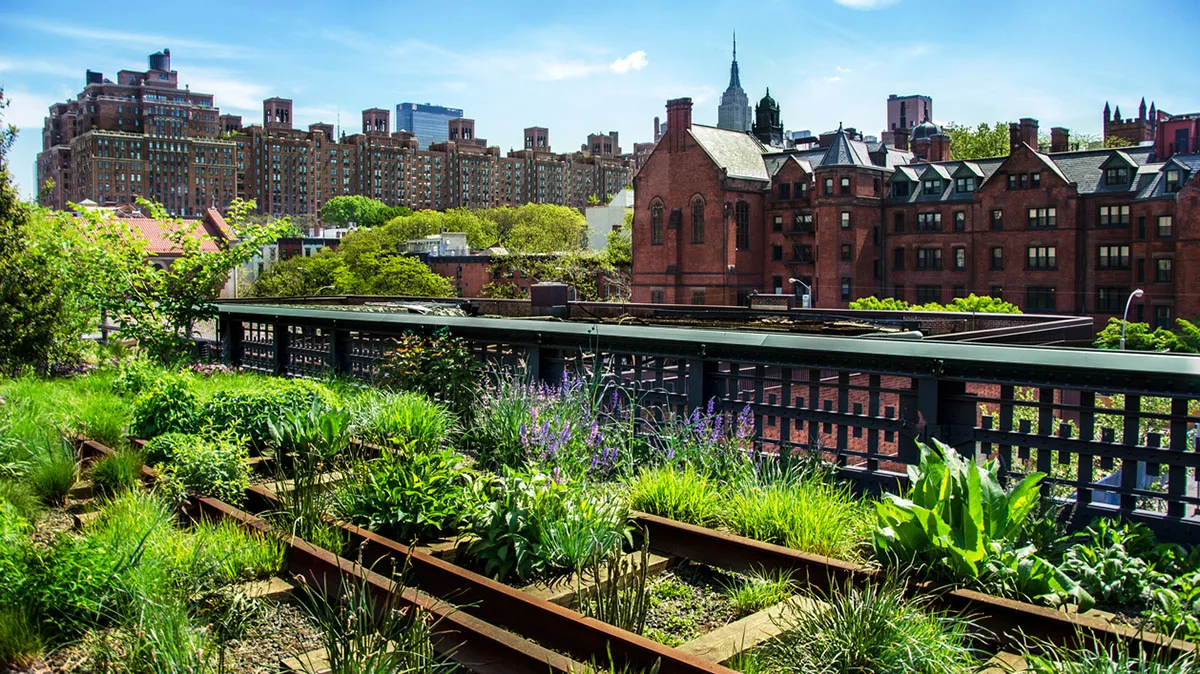 USA New York Chelsea Highline iStock Albachiaraa–537503255 New York Chelsea
