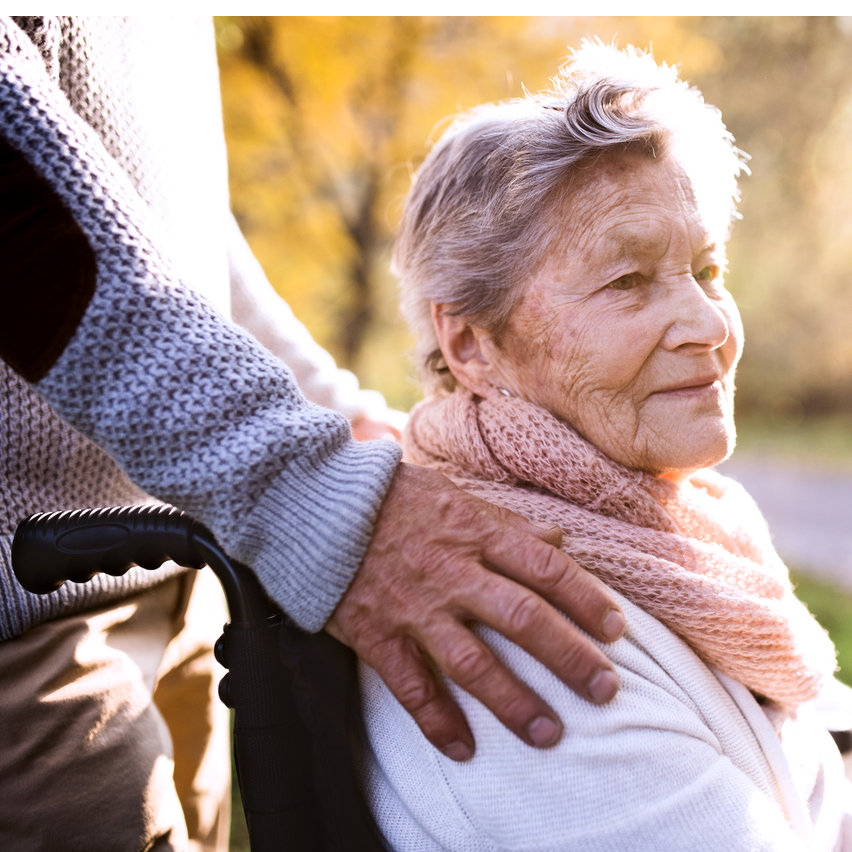 rollstuhl seniorin herbst