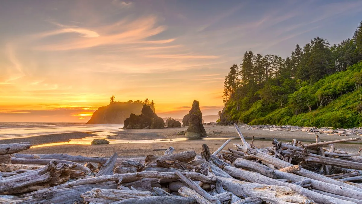 f81c33e0824d-USA-Washington-Olympic-Nationalpark-Foto-iStock-Sean-Pavone USA Washington Olympic Nationalpark Foto iStock Sean Pavone