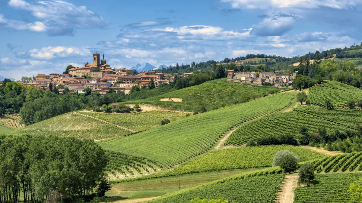 Italien Monferrato Asti iStock clodio -1151976456